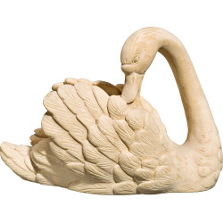 Cisne cabeza hacia atrás